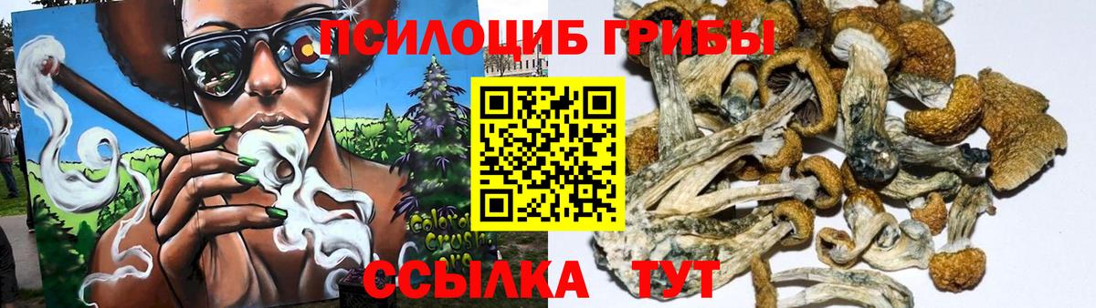 АМФ   Канабис  Меф МЯУ МЯУ кристаллы  Вход с VPN  Сергиев Посад  NBOMe  COCAIN  Гашиш 