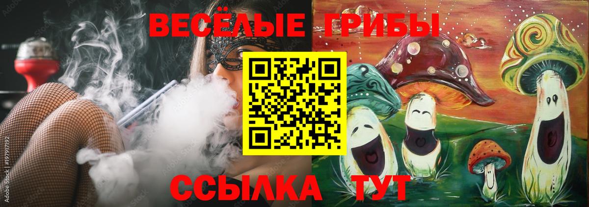 Псилоцибиновые грибы мицелий Сергиев Посад